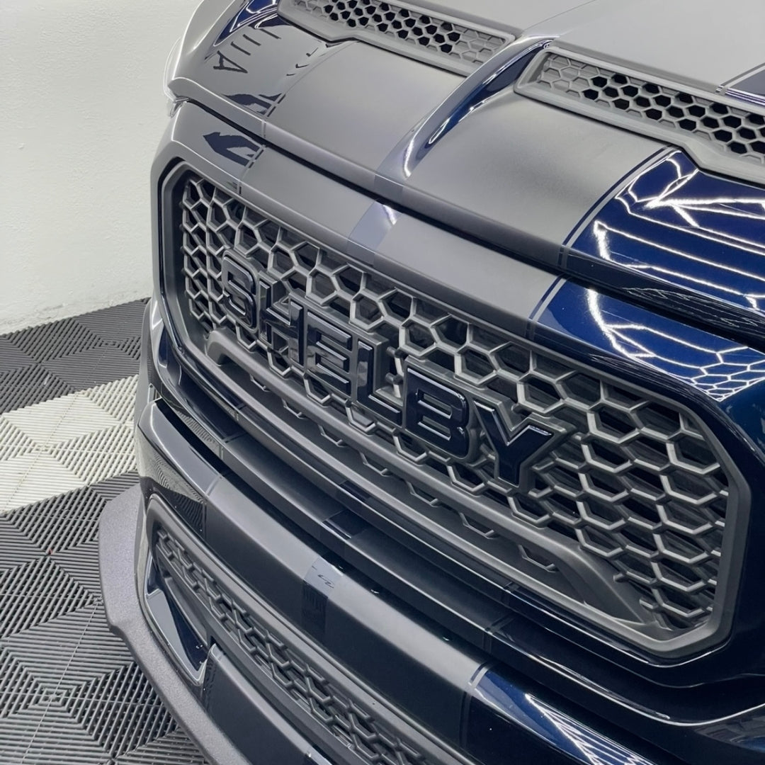 Paint Correction Service